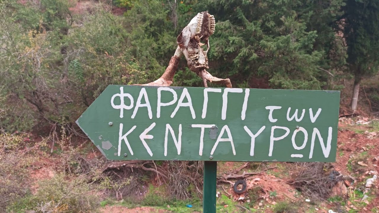 Foloi Oak tree forest and Centaurs gorge! Δρυοδασος Φολόης και φαράγγι των Κενταύρων!
